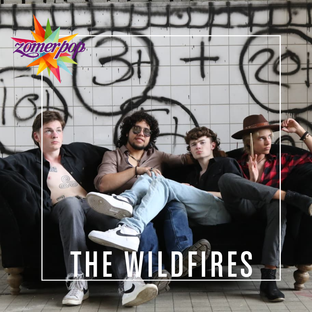 THE WILDFIRES